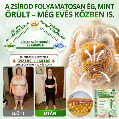 Hivatalos Áruház |🍀BSWELL® Moringa × Berberin × NAD+ 10 az 1-ben Nano Mikrotűs Tapasz (Naponta egyszer, látható változások 7 nap után) ✅ Elhízás, megereszkedett bőr, cukorbetegség, alvási apnoé, ízületi problémák